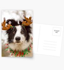 Reindeer Collie Postcards