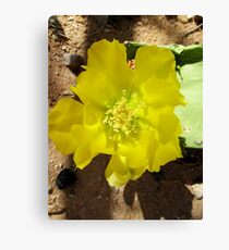 Yellow Bloom Canvas Print