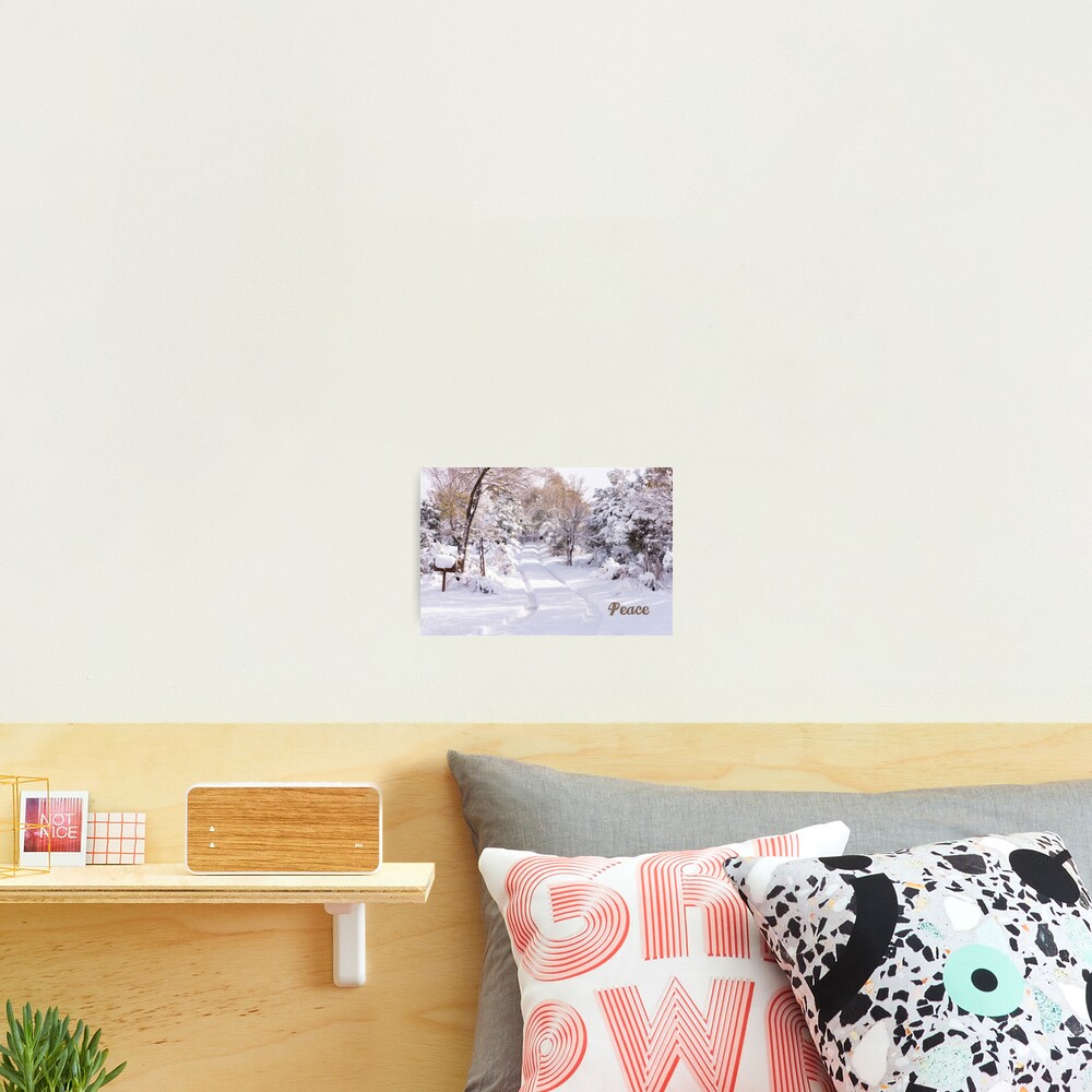Peaceful Wonderland Photographic Print