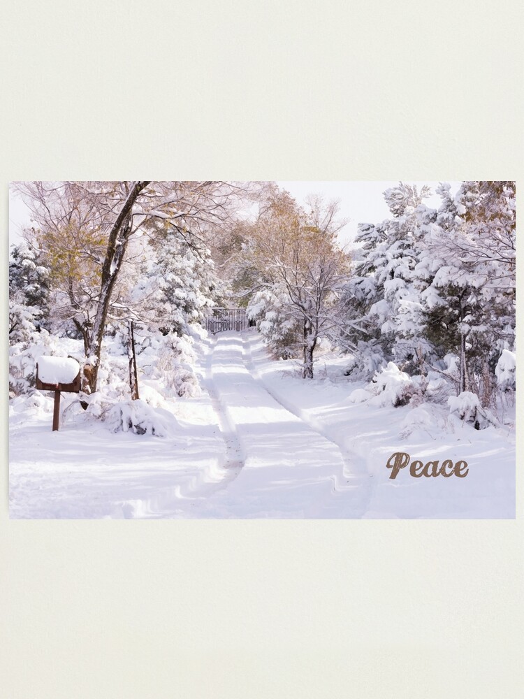 Alternate view of Peaceful Wonderland Photographic Print
