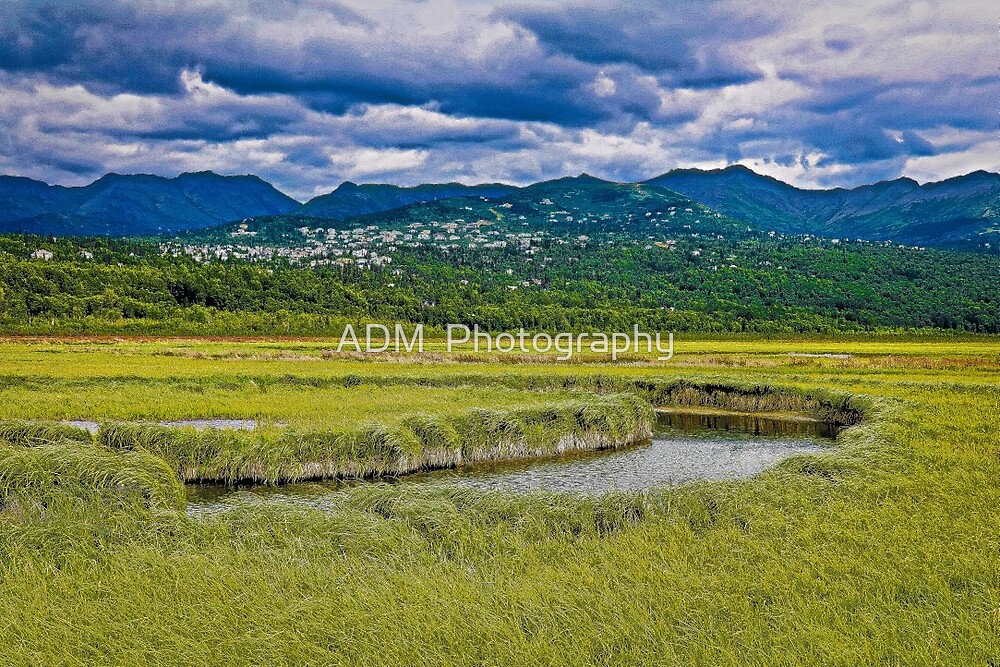 "Potter Marsh Alaska" by ADM Photography Redbubble