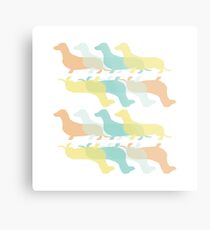 Dachshund Metal Print