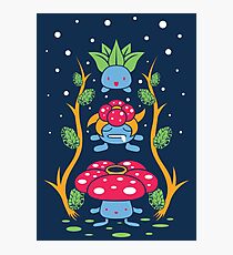 Kanto Wald Fotodruck