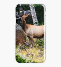 Young Elk iPhone Case