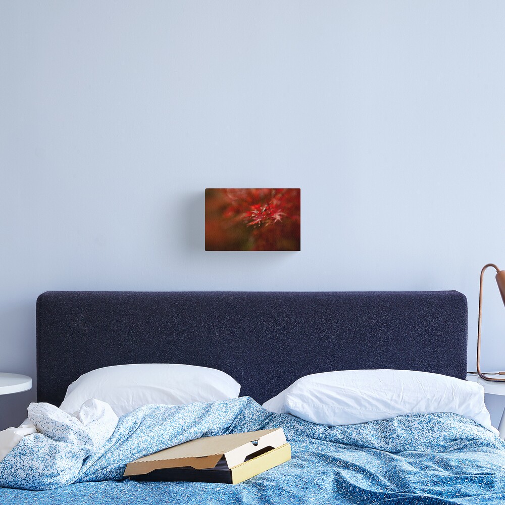 Maple Canvas Print