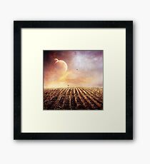 The kite Framed Print