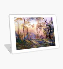 Why I Live Where I Live Laptop Skin