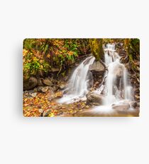 Un-named mountain stream in the Beckler River Valley Canvas Print
