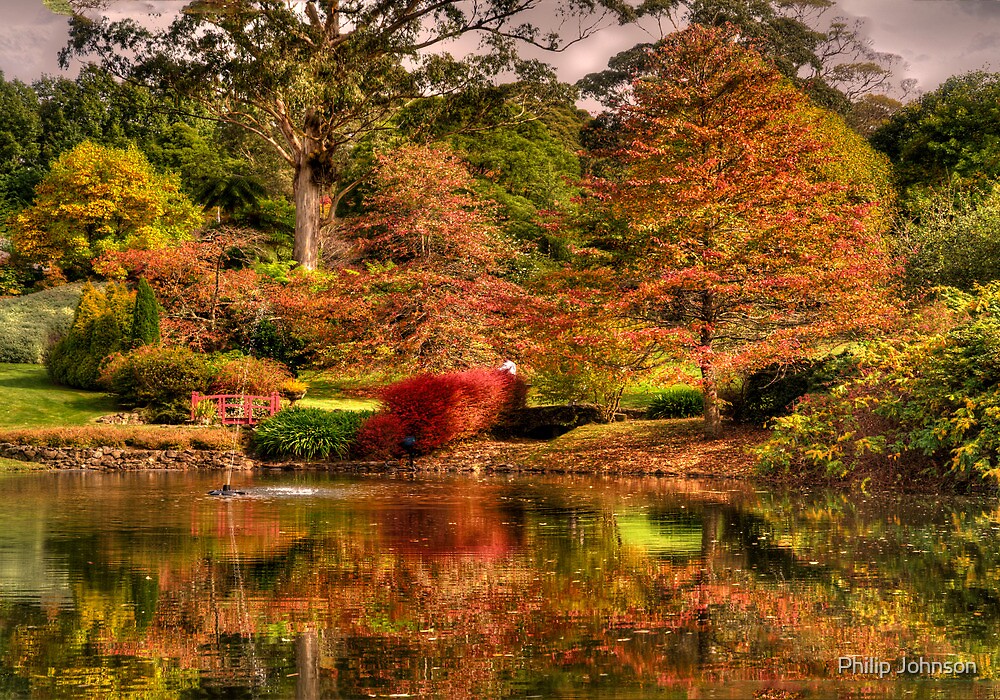 "Secret Garden Mount Wilson 7 , NSW Australia The HDR Experience