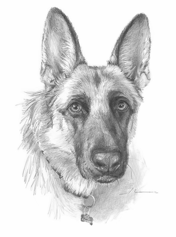 "German shepherd drawing" by mike theuer Redbubble