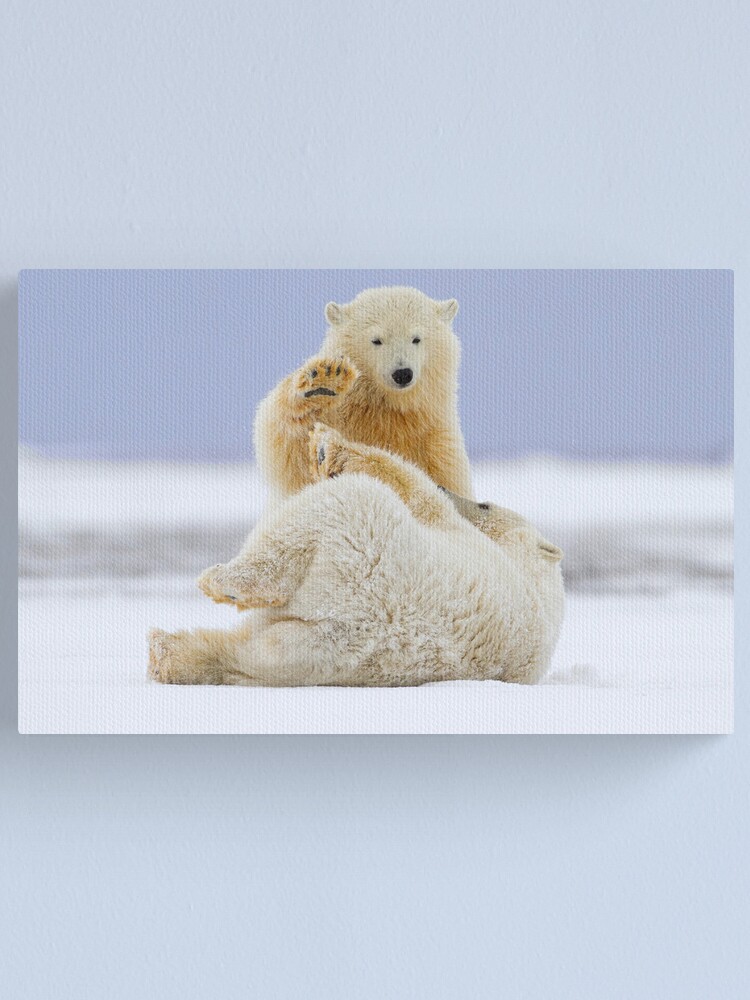 Alternate view of High Five Canvas Print