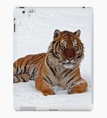 Sberian tiger lying in the snow iPad-Hülle & Skin