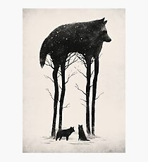 Standing Tall Photographic Print