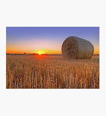 Bales at Sunset 1 Photographic Print