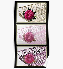 Three Trays Aster Collage Poster