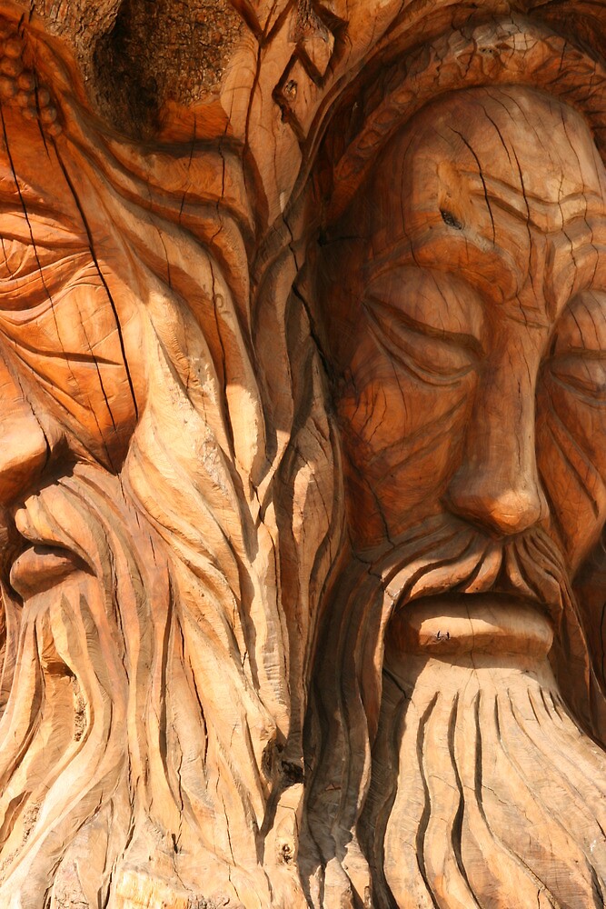 "Tree trunk carving, Crete" by Michelle Thomson Redbubble