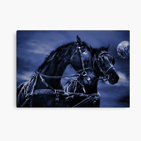 the highwayman Canvas Print