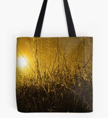 icy twigs and branches in snow against orange sunset Tote Bag