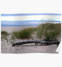 Fall on Lake Michigan Poster