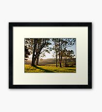 Australian Bush Framed Print