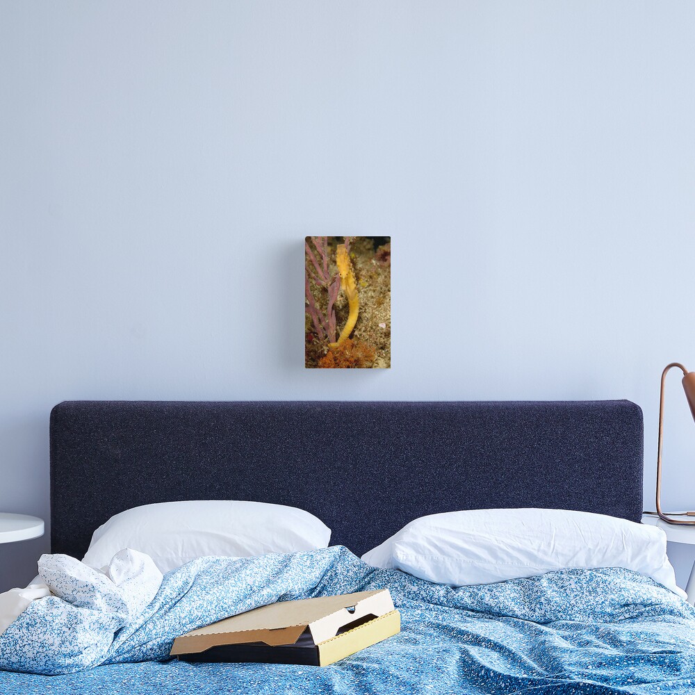 "Rosie" Canvas Print