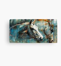 The noble horse and his alter ego Canvas Print