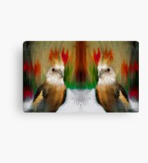 Cockatiel Painting Canvas Print