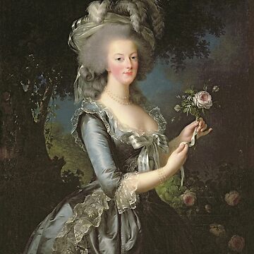 Elisabeth Louise Vigee - Lebrun - Marie Antoinette (1755 ) With A Rose |  Mounted Print