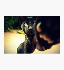 No pictures, please! Photographic Print