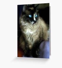 Belle of the Ball Greeting Card