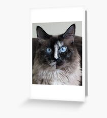 What? Greeting Card