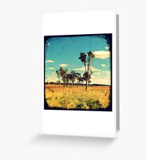 Eucalyptus Trees Through The Viewfinder (TTV) Greeting Card