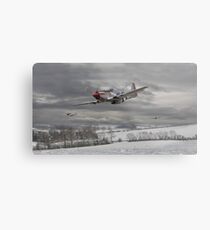 P51 Mustang - Winter Freedom Metal Print