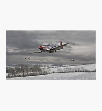 P51 Mustang - Winter Freedom Photographic Print