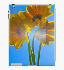 Gerber'd iPad Case/Skin