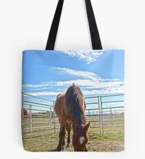 Hungry brumby Tote Bag