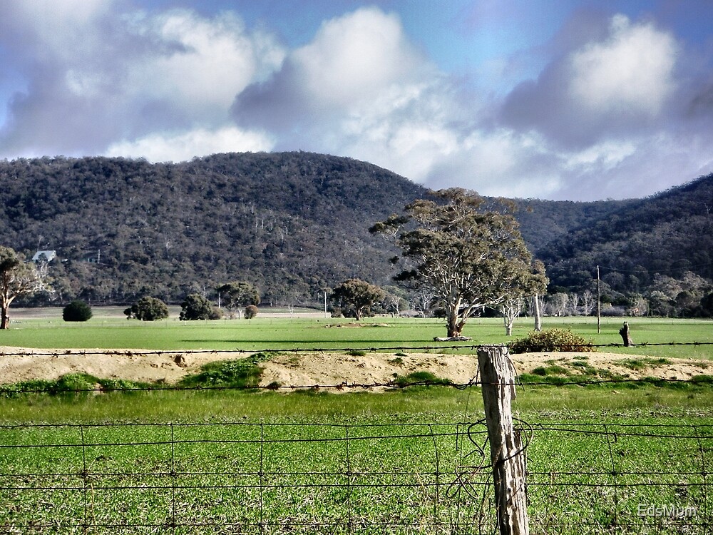 "View of Brisbane Ranges at Balliang, Vic" by EdsMum Redbubble