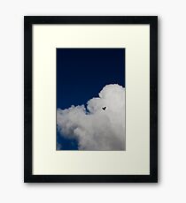 Crow Framed Print