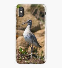 Willet iPhone Case