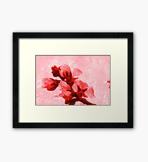 Spring blossoms Framed Print