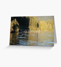 Contrast Greeting Card