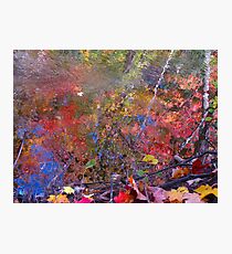 Take 5: Dedicated to the brilliance that was Dave Brubeck Photographic Print
