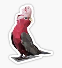 Roma The Galah Sticker