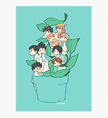Haikyuu!! Team Aobajousai Photographic Print