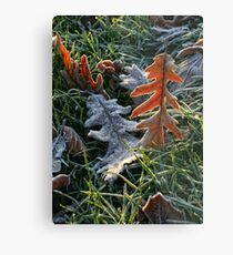 Head over heels Metal Print