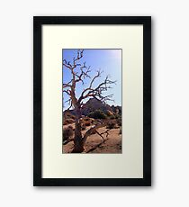 Desolation Framed Print