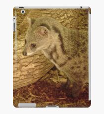 Cute Civet iPad Case/Skin