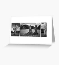 Trees on Hampstead Heath Greeting Card
