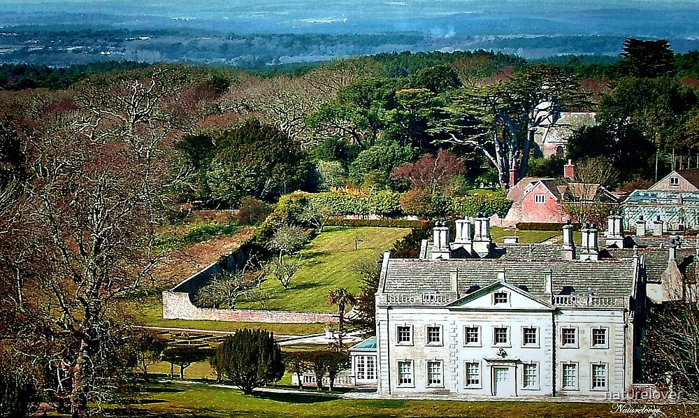 "Creech Grange Wareham,Dorset" by naturelover Redbubble