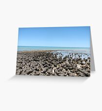 Stromatolites Greeting Card